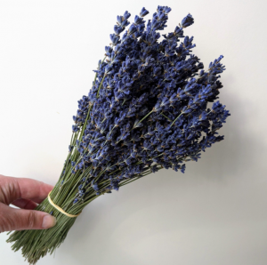 Dark Blue Dried Lavender Bunch