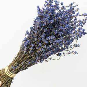 wholesale dried lavender bunch