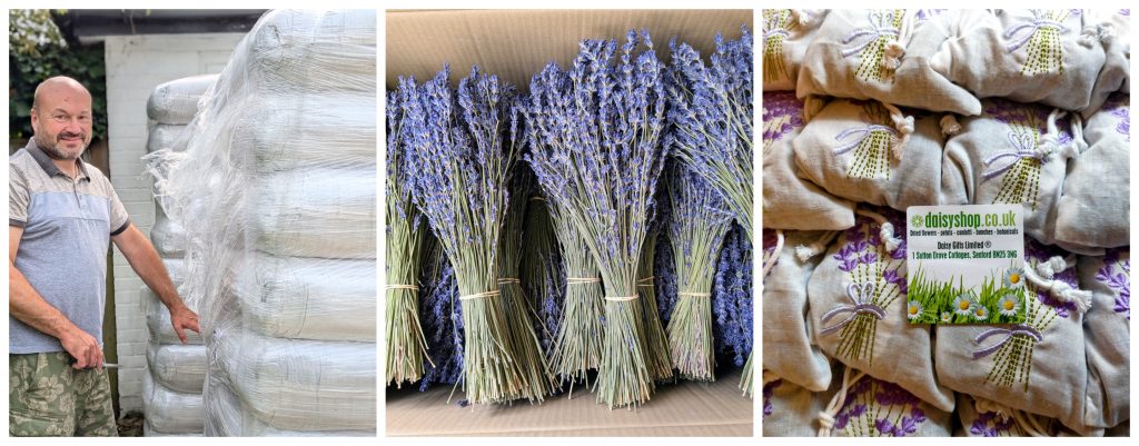 wholesale dried lavender
