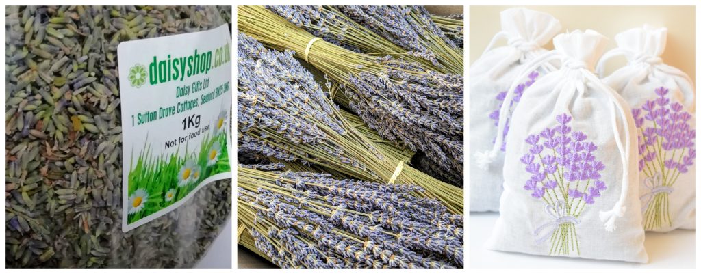 wholesale dried lavender shop