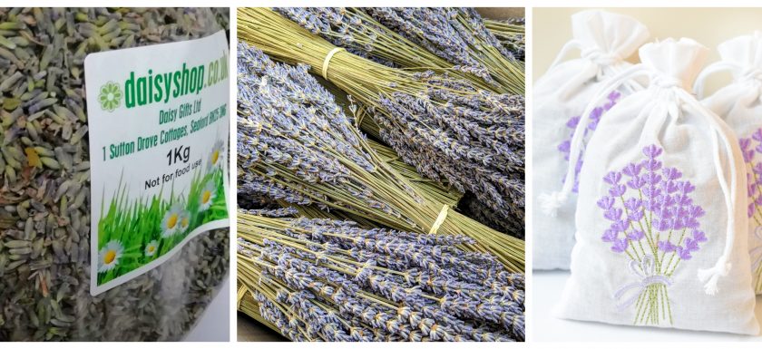 wholesale dried lavender shop