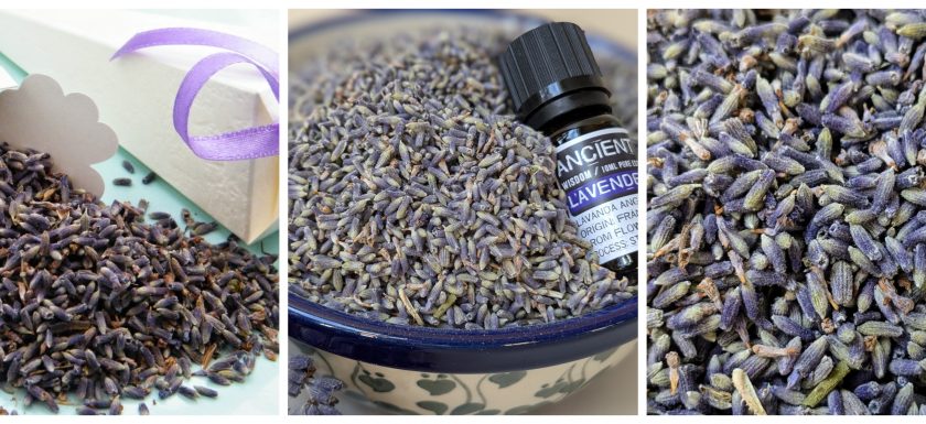 wholesale loose dried lavender blue