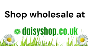 wholesale lavender